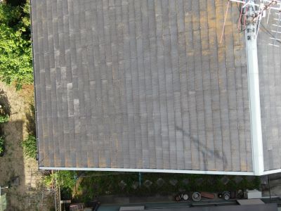 カビ・藻・苔の除去　l　 京都府　宇治市　外壁塗装　屋根塗装　雨漏り　専門店　塗り達