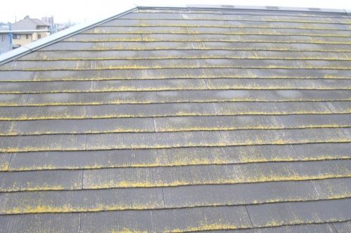 スレート屋根の苔やカビ　I　宇治市　外壁塗装・屋根塗装・雨漏り専門店　塗り達