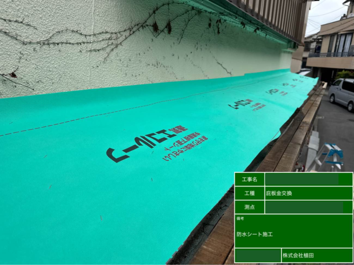 庇 防水シート貼り