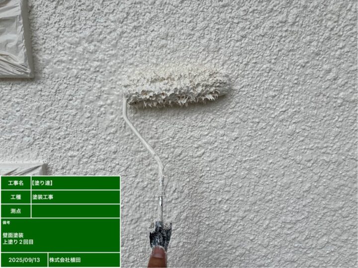 外壁 上塗り2回目